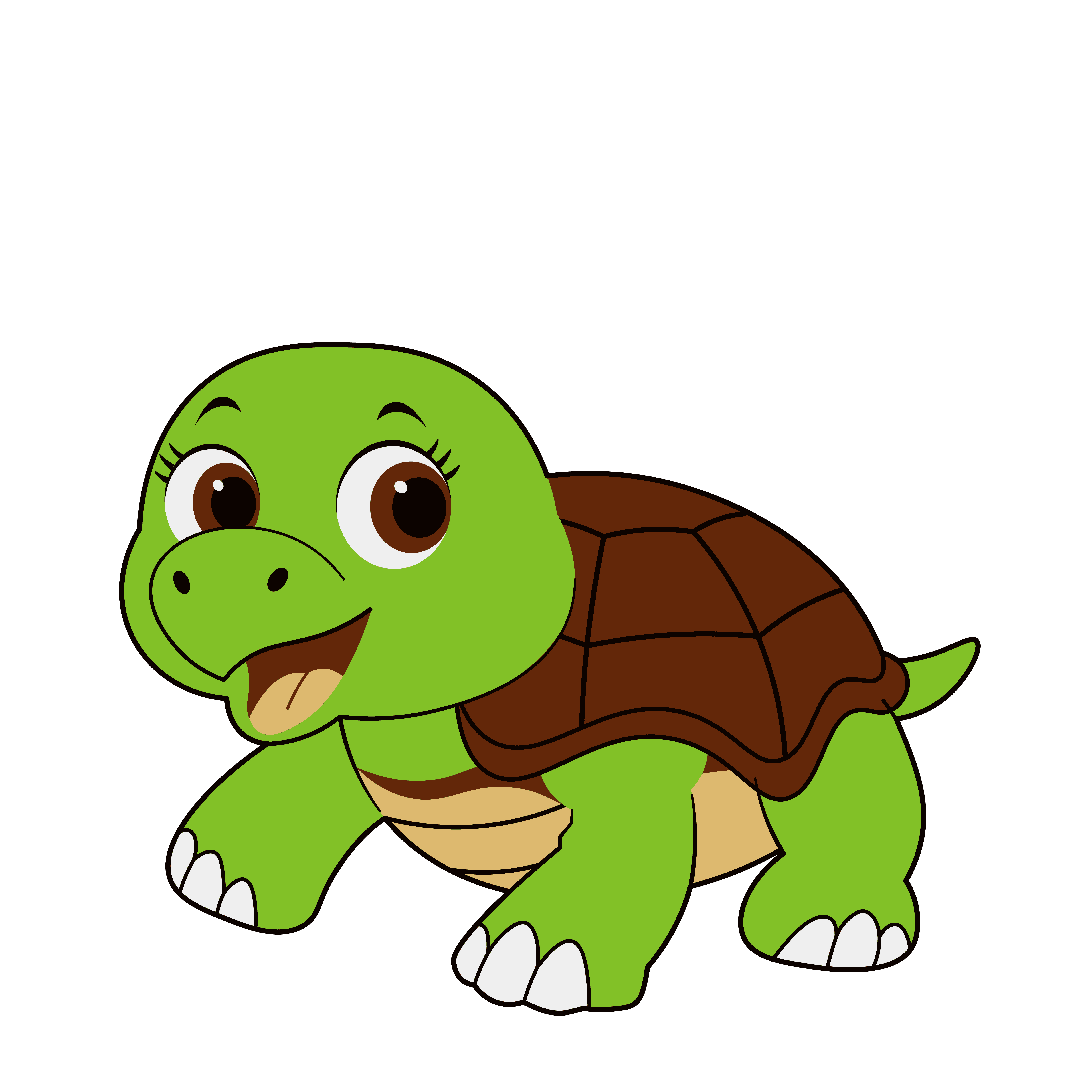 Turtle